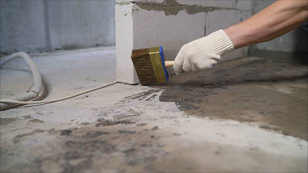 Top rated local Crawl Space Encapsulation specialists in Ashburn, VA